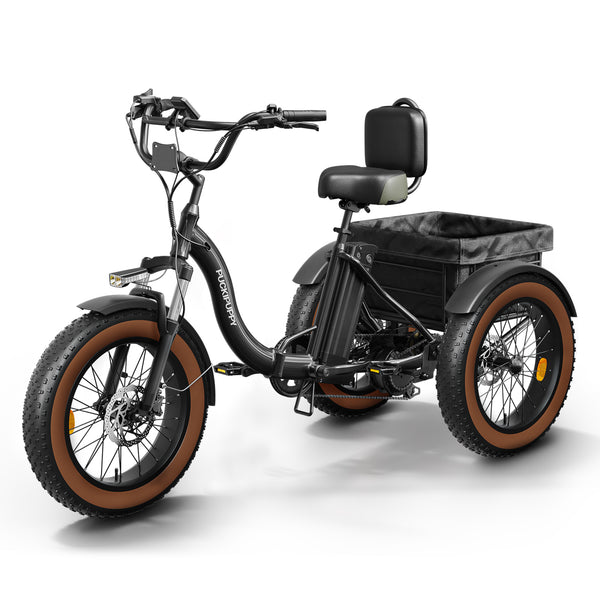 Black Alaskan Etrike