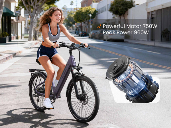 Poodle EbikeDusty Purple