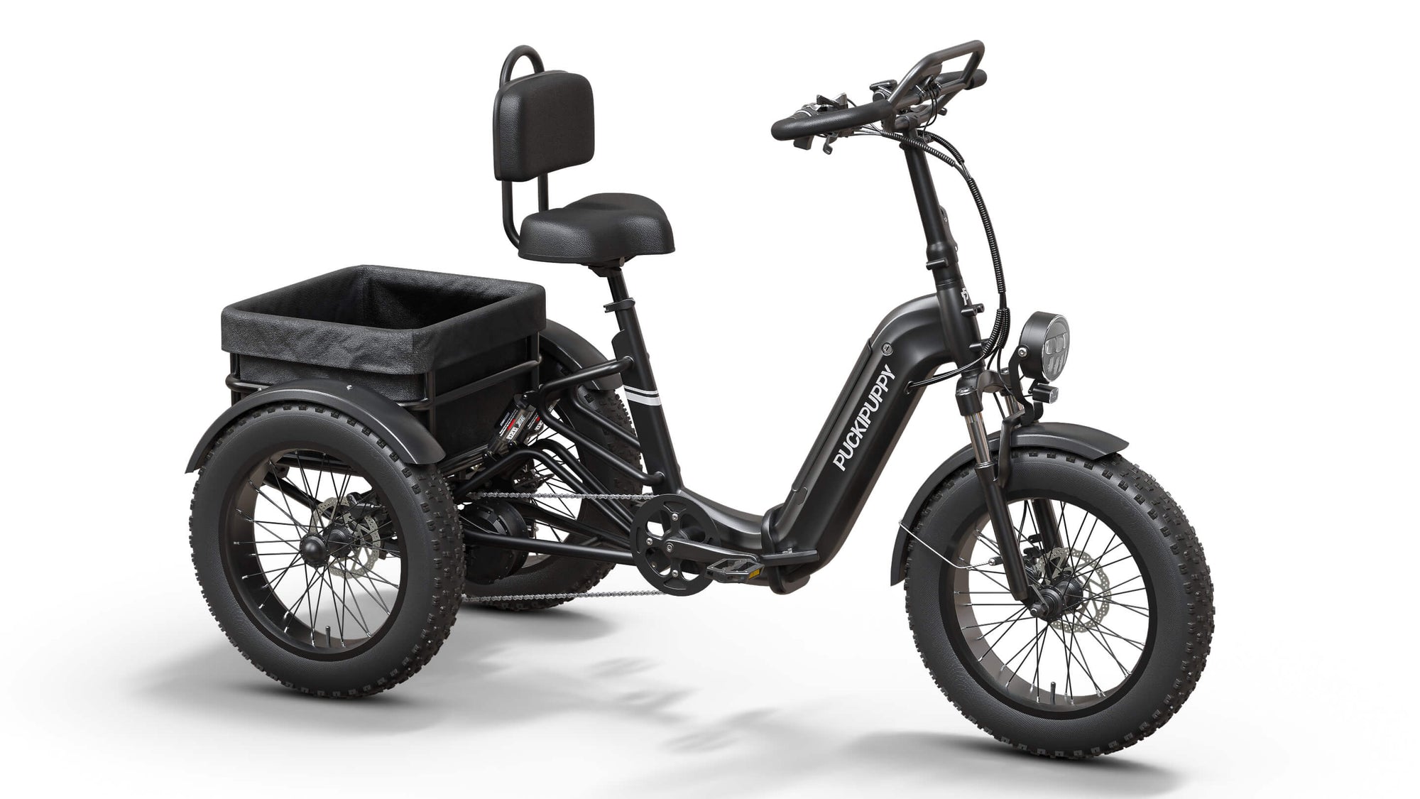 Black Rottweiler Etrike