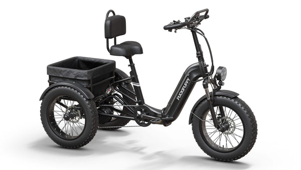 Black Rottweiler Etrike