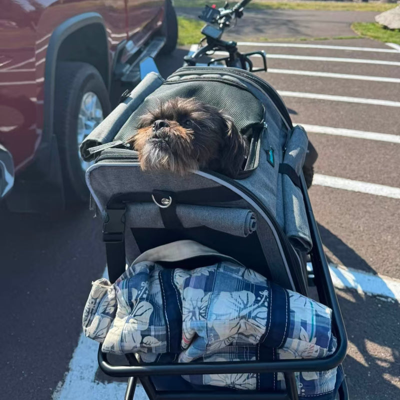 Henri’s First Trail Ride