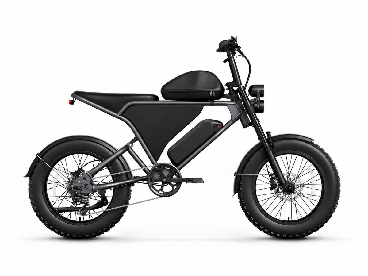 Schnauzer Ebike