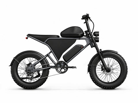 Schnauzer Ebike - Vintage