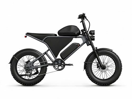 Schnauzer Ebike