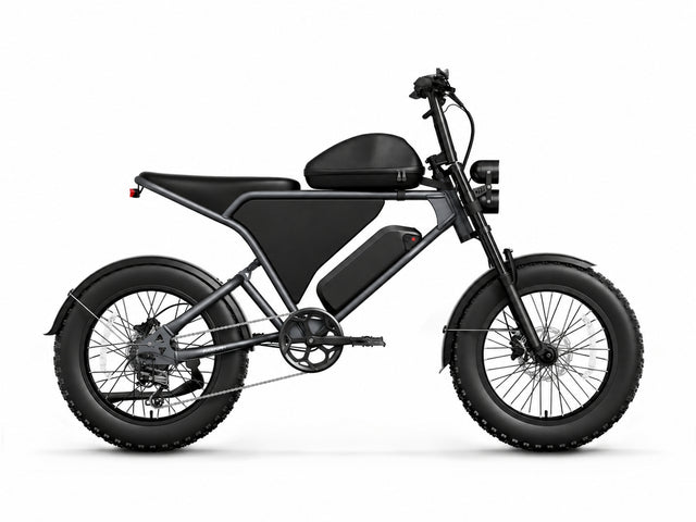 Schnauzer Ebike - Vintage