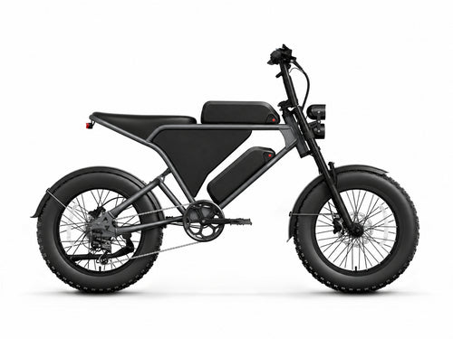 Schnauzer Plus Ebike