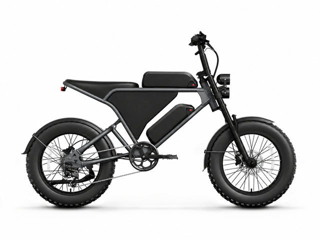 Schnauzer Plus Ebike - Vintage