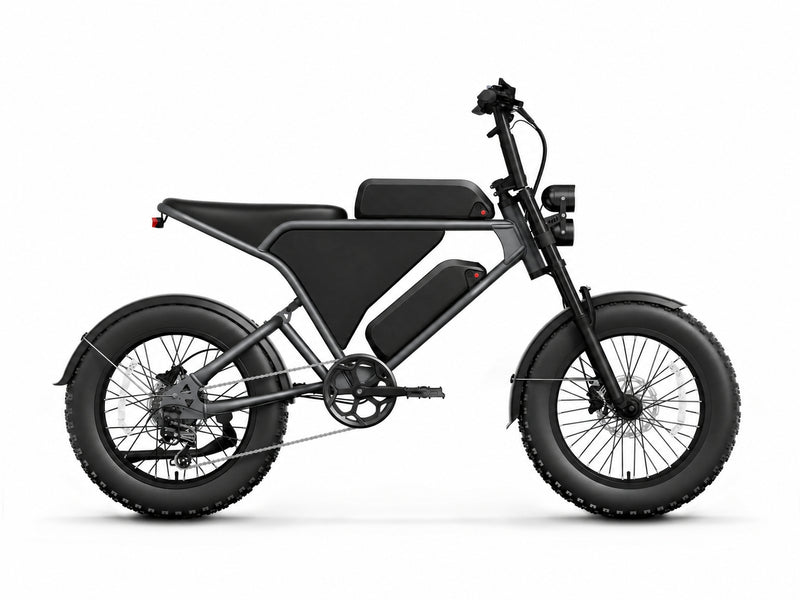 Schnauzer Plus Ebike