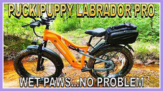 <p><strong>Puckipuppy Labrador Pro…Brand New Electric Bike Model…Here is the Complete Full Review!</strong></p>