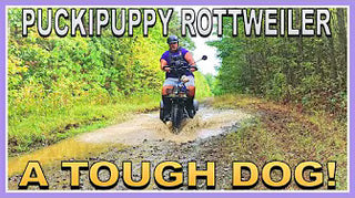 <p><strong>The Puckipuppy Rottweiler is a Stable and Waterproof Electric Trike! Live Electric Life!</strong></p>