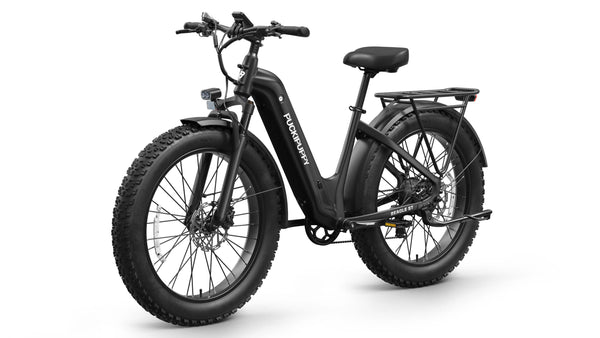 Beagle 2 ST EbikeBlack