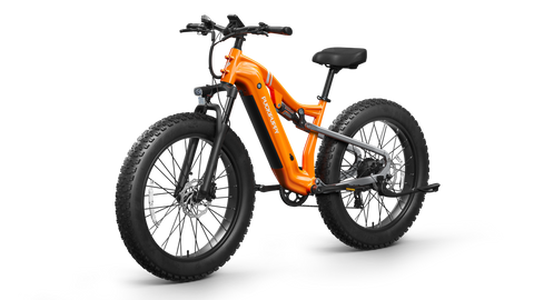 fat tire electric bike