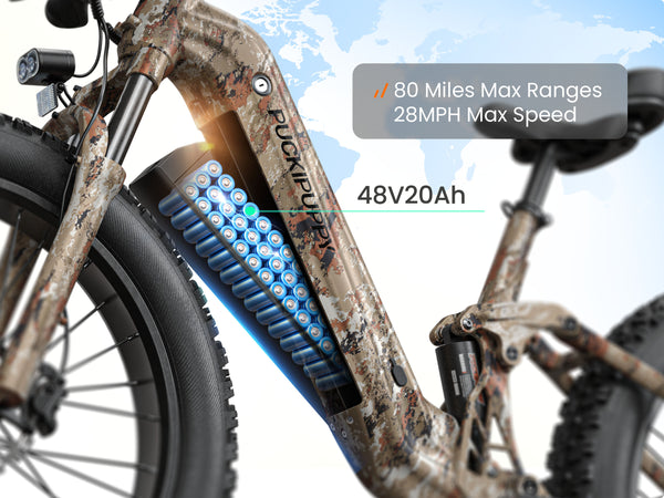 Boxer ST Ebike