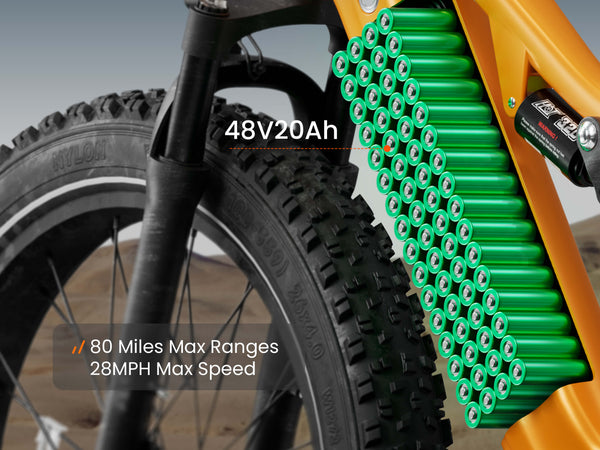 Labrador Pro EbikeOrange / Detachable Display