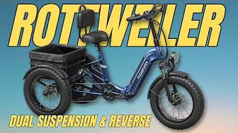 <p><strong>I Rode the PuckPuppy Tricycle with DUEL SUSPENSION and REVERSE MODE - Here's What Happened</strong></p>