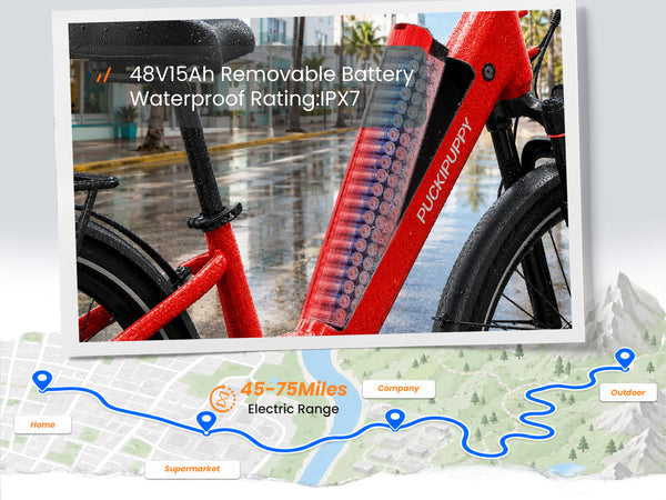 Poodle Pro EbikeRed