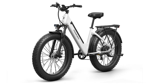 Samoyed EbikeWhite