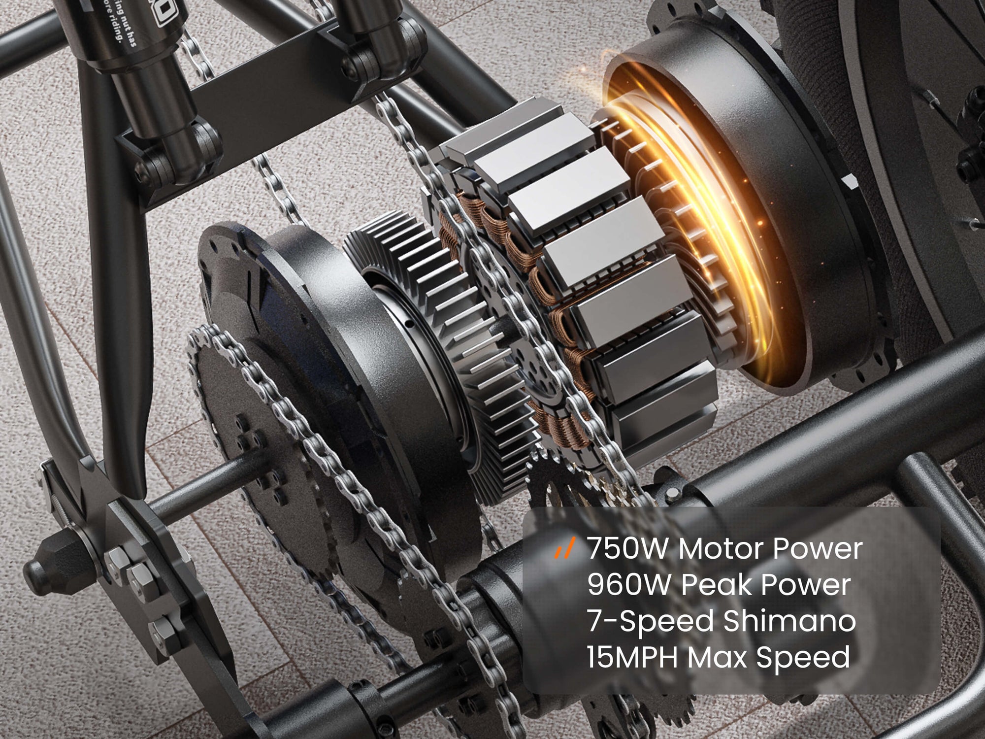 Rottweiler EtrikeBlack