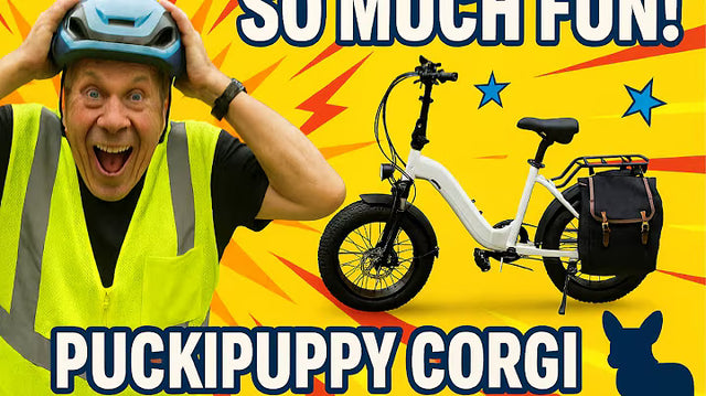 <p><strong>I Rode This Puckipuppy Corgi E-Bike Through My City and THIS Happened!</strong></p>