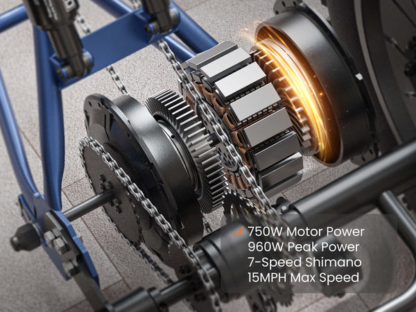 Rottweiler EtrikeBlue