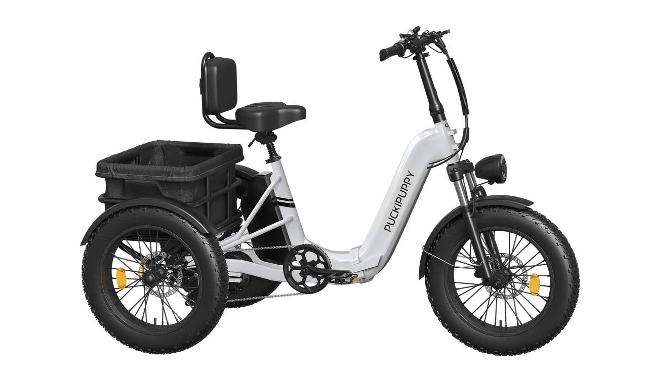 Best Electric Tricycle And Trike Bike For Adults Seniors