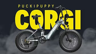 <p><strong>Puckipuppy Electric Bike Review - The Puckipuppy Corgi</strong></p>