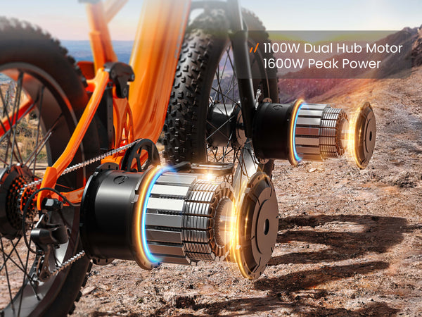 1100W Dual Hub Motor