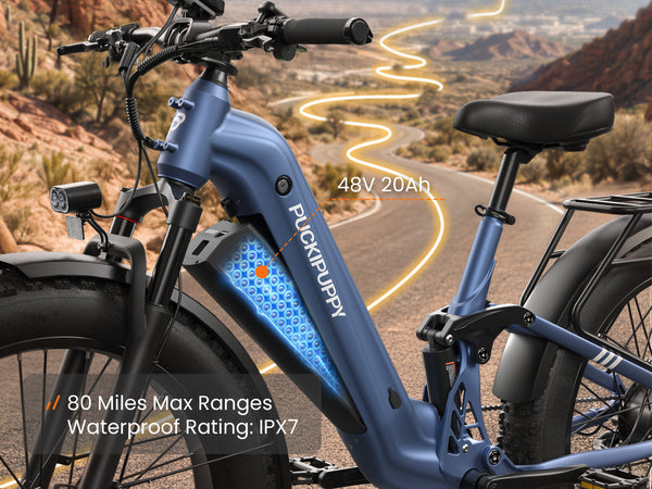 Labrador Pro ST EbikeBlue