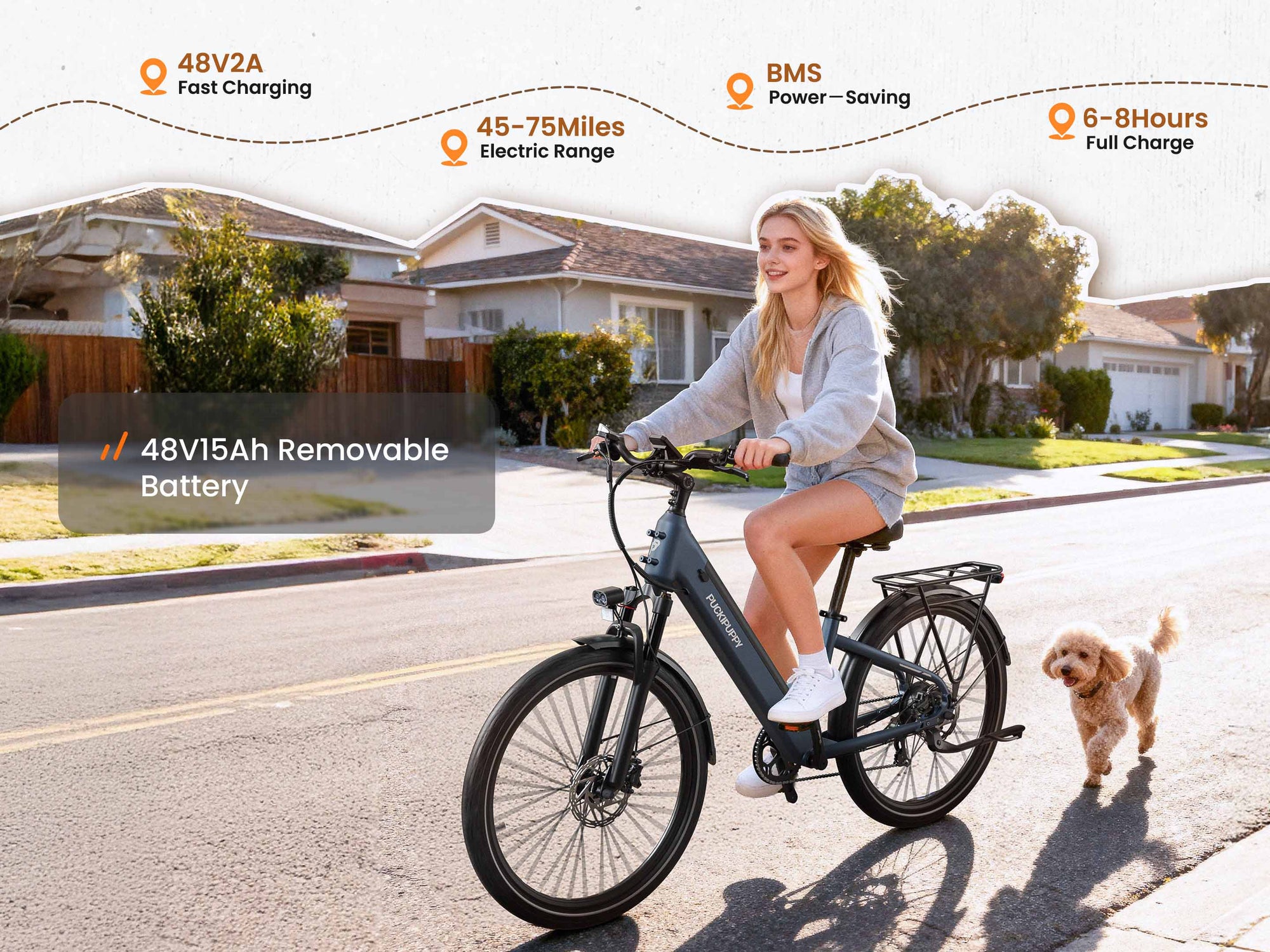 Poodle EbikeSlate Blue