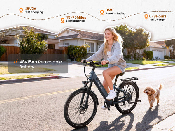 Poodle EbikeSlate Blue