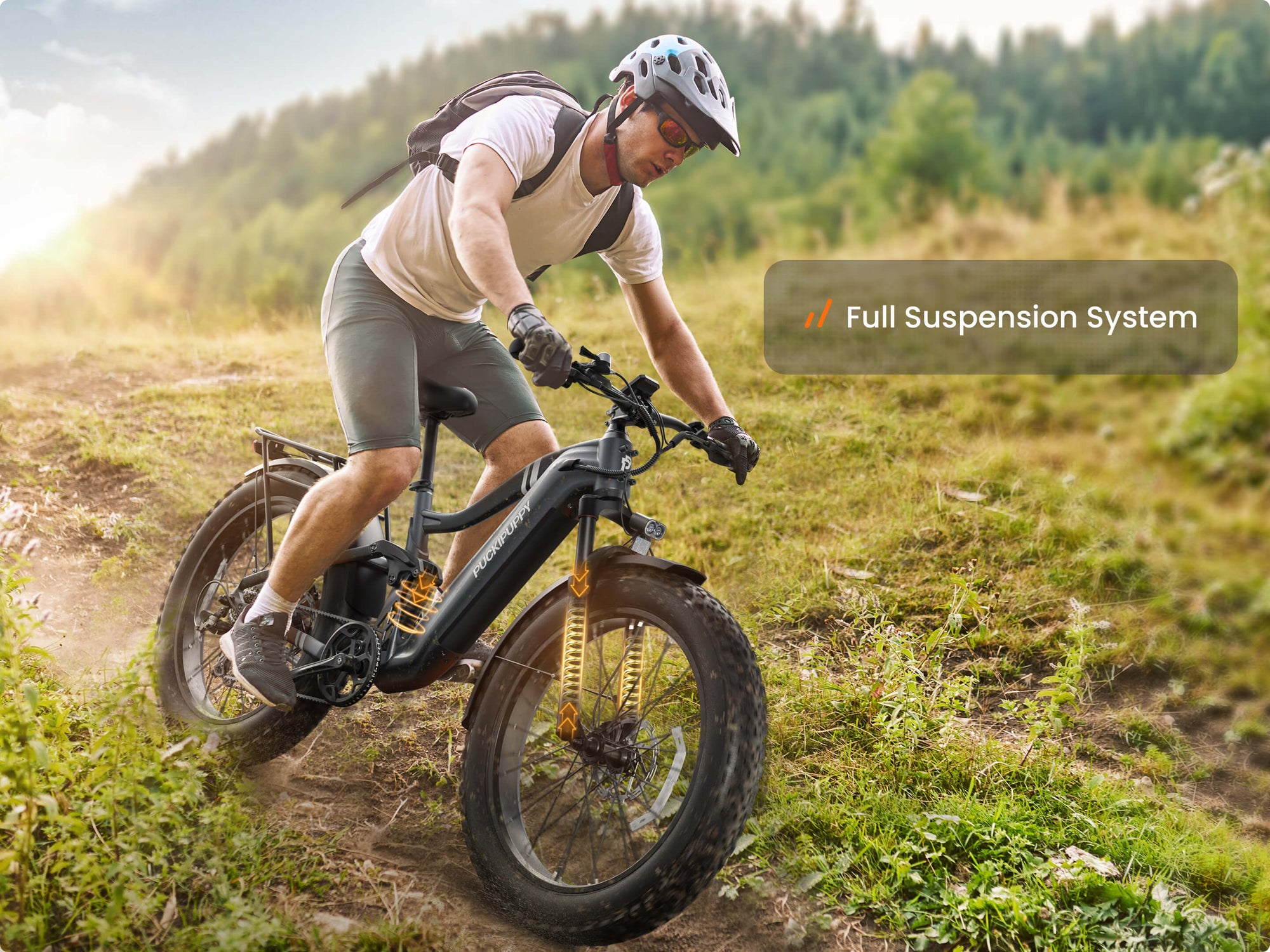 Boxer EbikeMetallic Gray