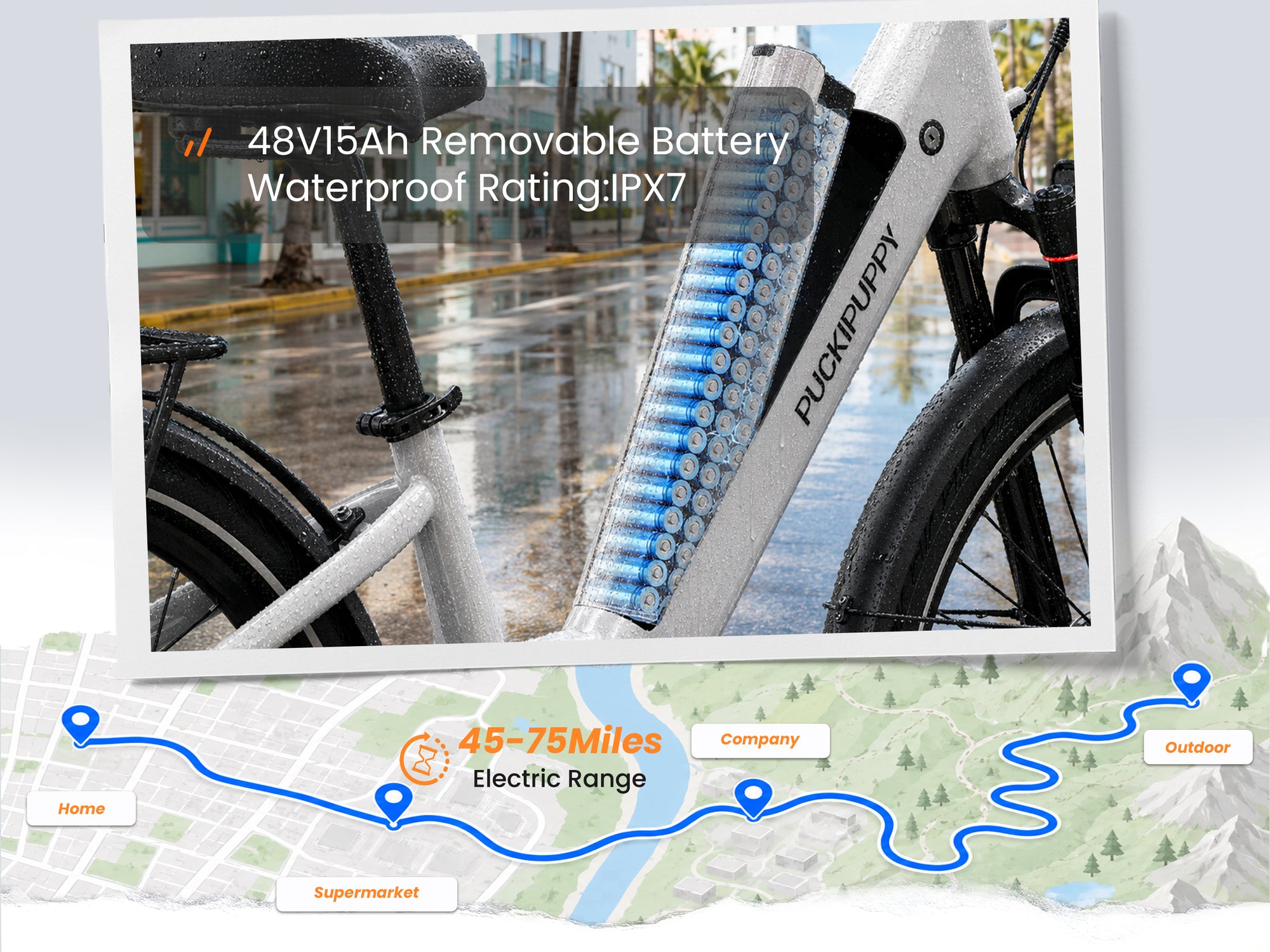 Poodle Pro EbikeWhite