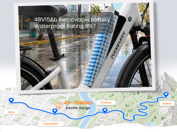 Poodle Pro EbikeWhite