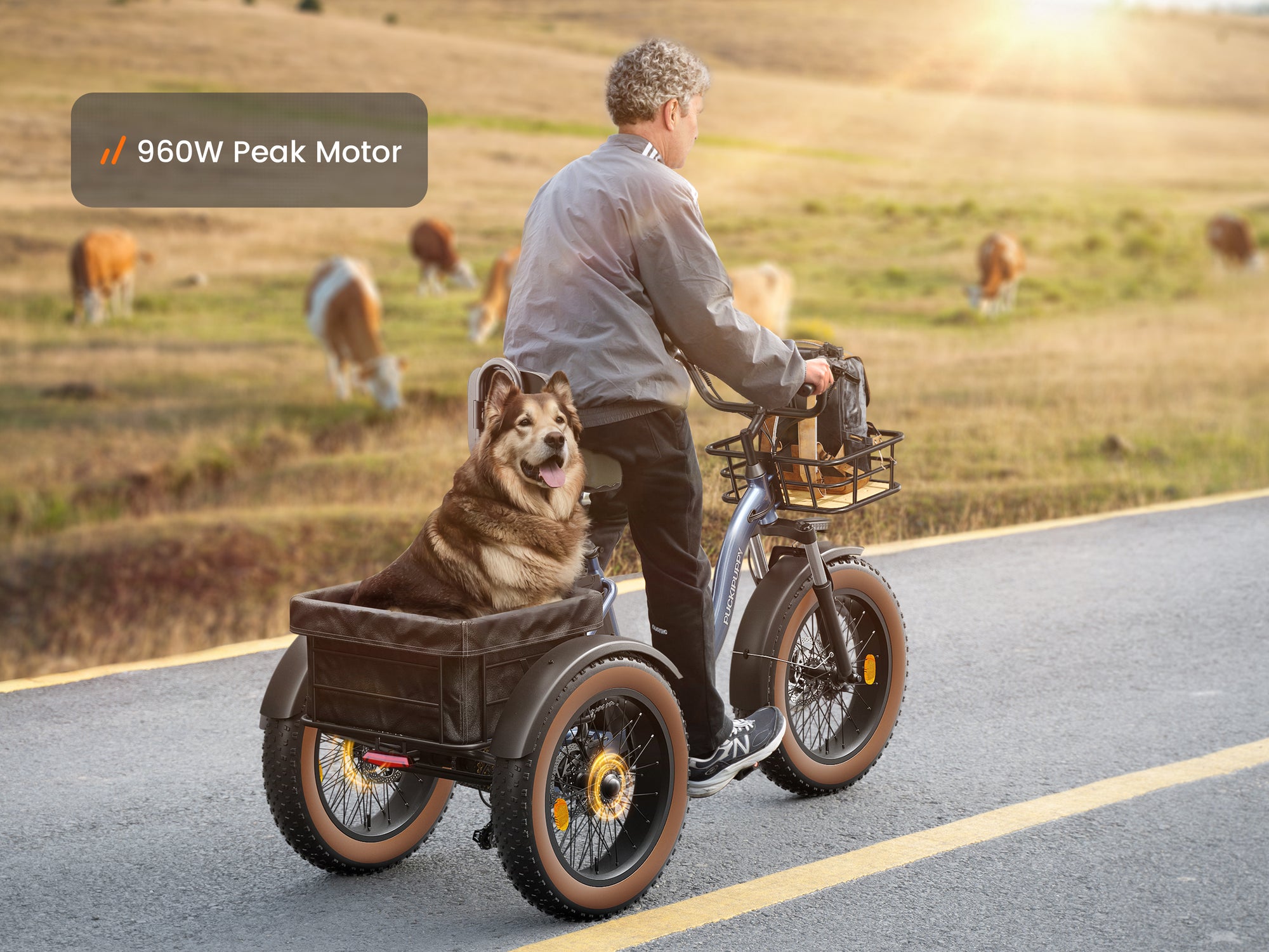 Alaskan Electric TricycleBlue