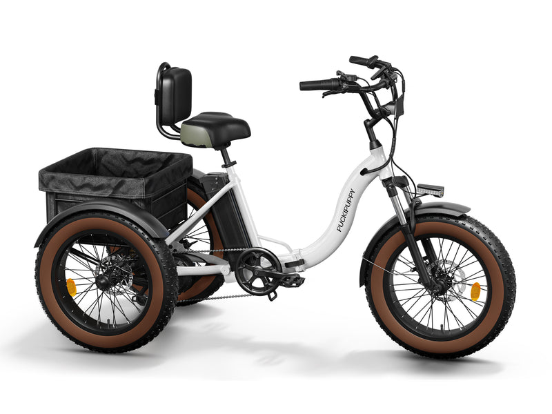 Alaskan Etrike