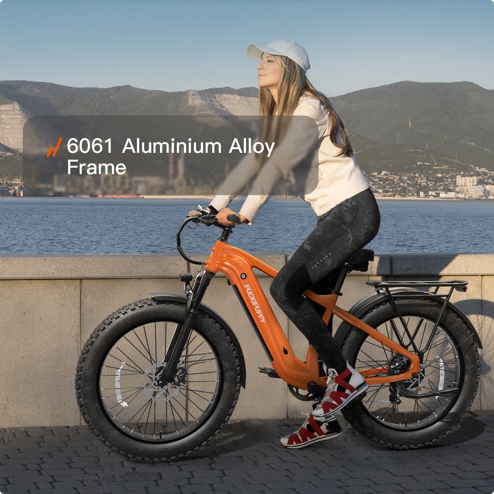 Beagle 2 EbikeOrange