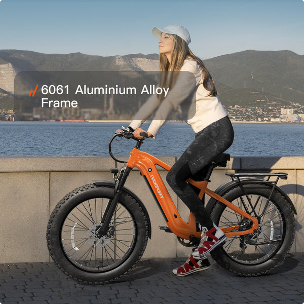 Beagle 2 EbikeOrange