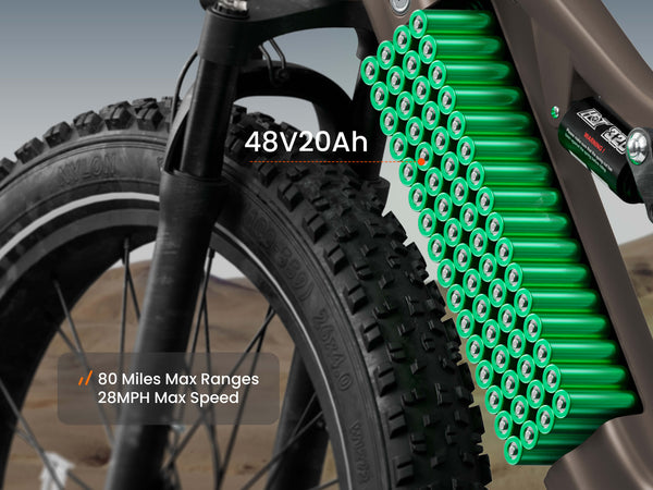 Labrador Pro EbikePlating Gray