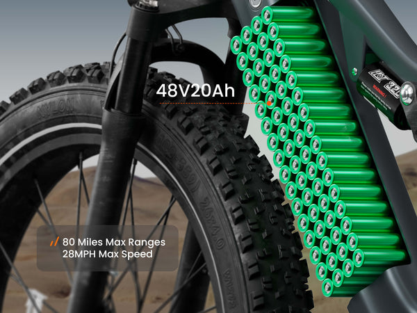 Labrador Pro EbikeMetallic Gray