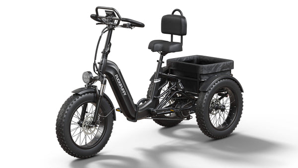 Black Rottweiler Etrike display image