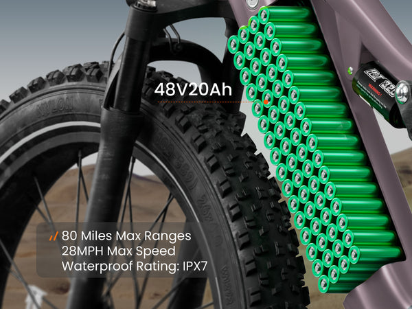 Labrador Pro EbikePlating Gray