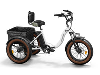 Alaskan Etrike