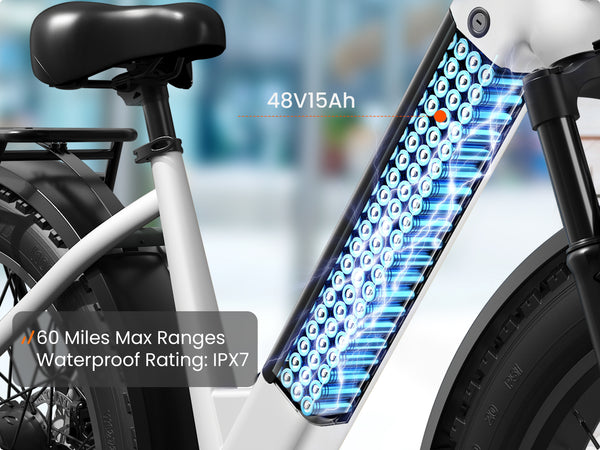 Samoyed EbikeWhite
