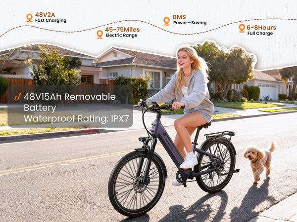 Poodle EbikeDusty Purple