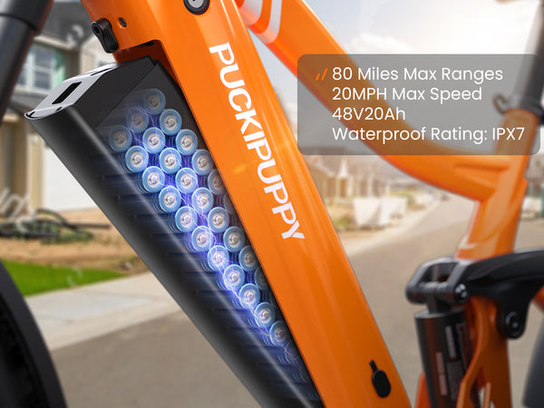Boxer EbikeOrange
