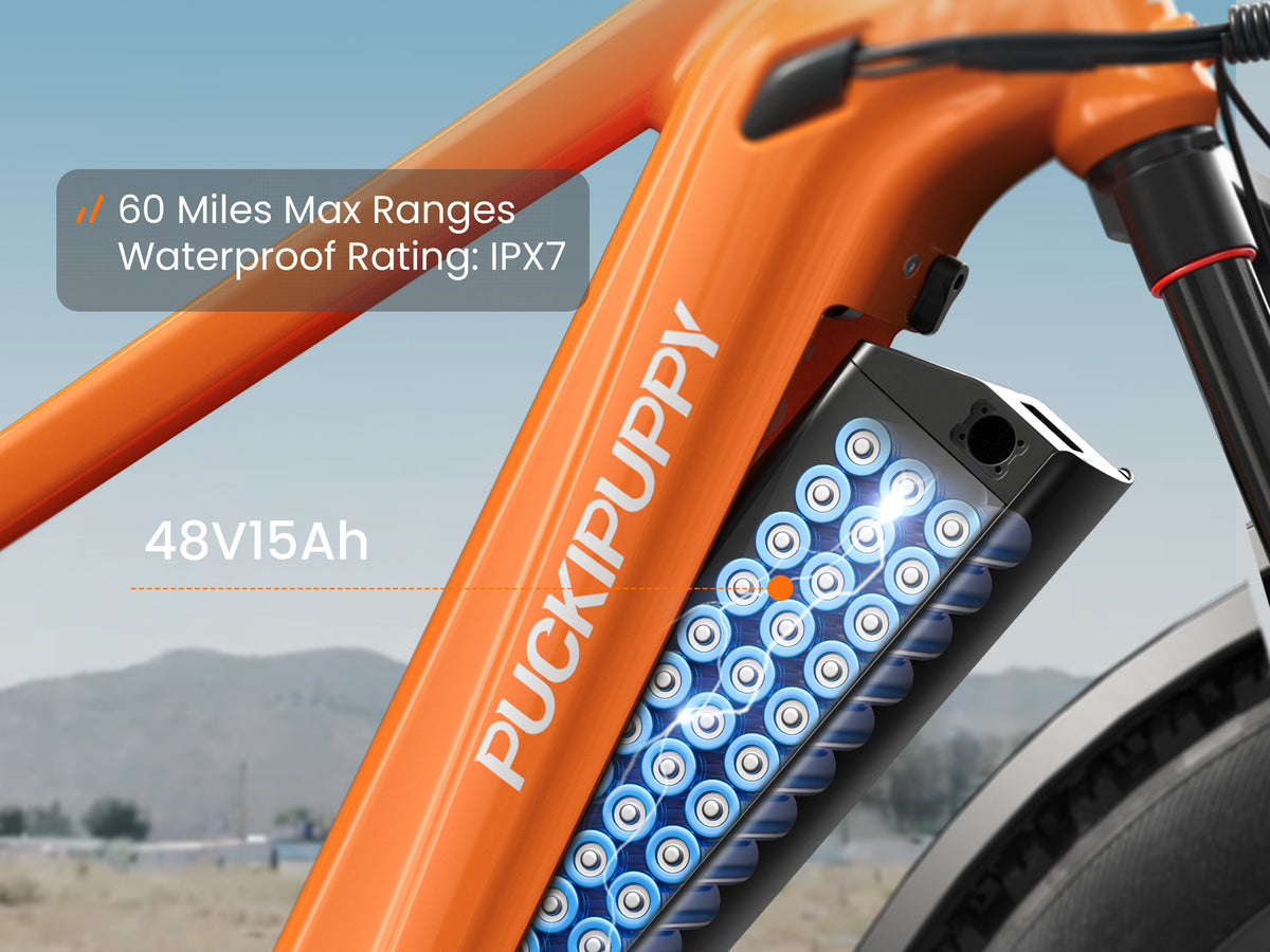 Beagle 2 Ebike*2Navy Blue&Grey+Orange