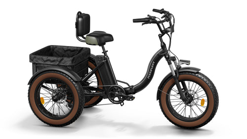 Alaskan Etrike