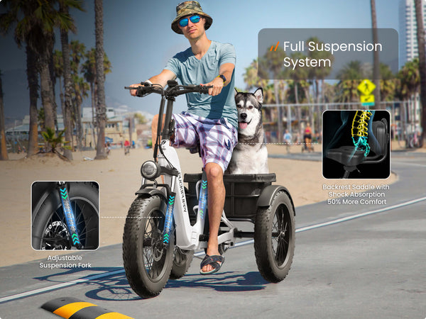 Dual Suspension System