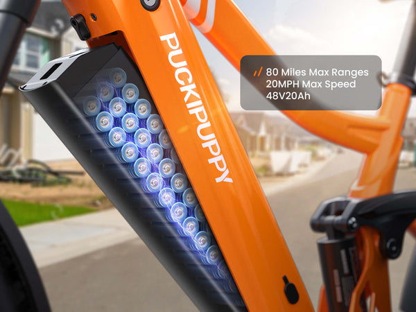 Boxer EbikeOrange