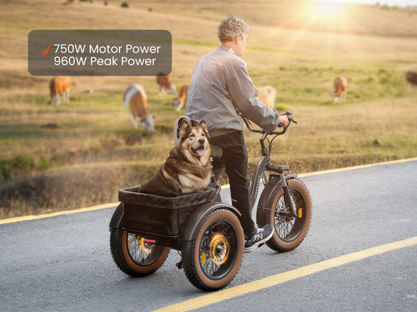 Rider using an Alaskan electric cargo trike with a dog in the rear basket, powered by a 750W motor with 960W peak output.